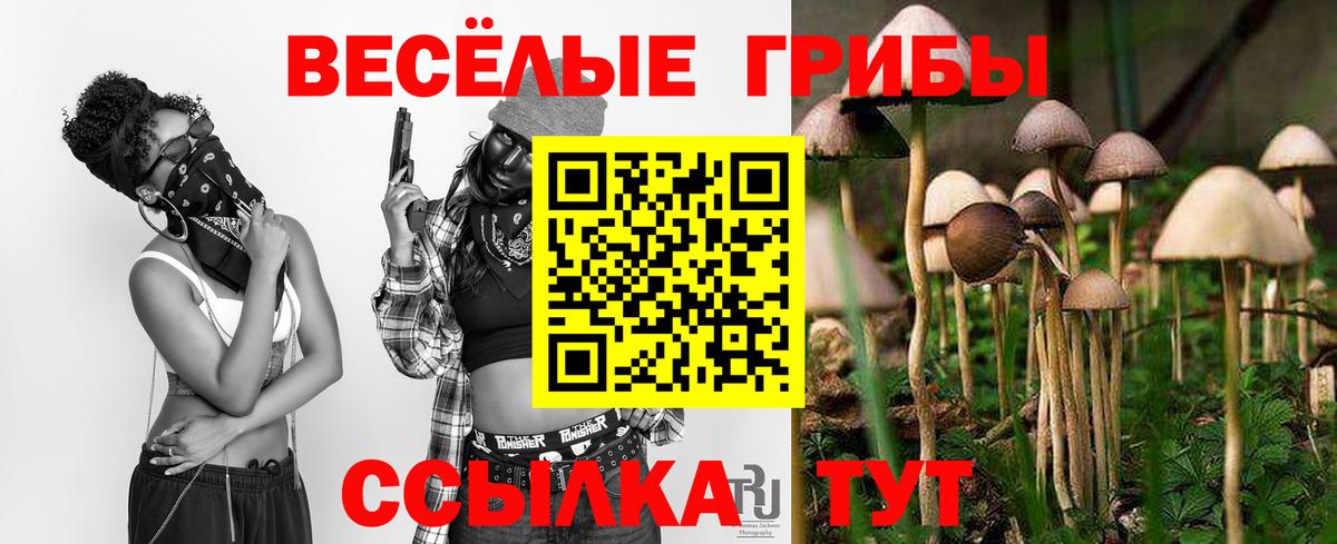Добрянка  Псилоцибиновые грибы прущие грибы  Вход с VPN 